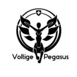@voltige_pegasus